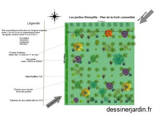 Plan foret comestible