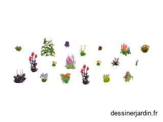 plant terrasse