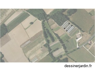 Test Orthophoto