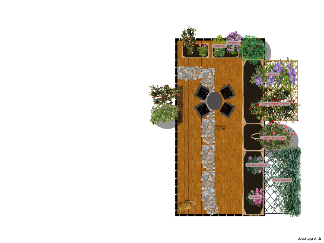 aménagement cours plante  