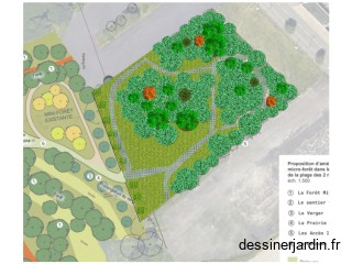 micro forêt stade M Picot