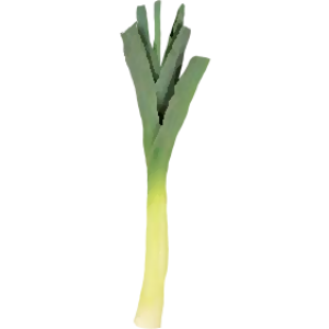Poireau