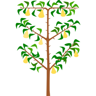 Poirier palmette oblique
