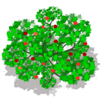 Pommier