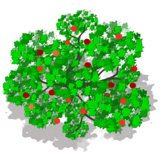 Pommier