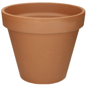 Pot terre cuite