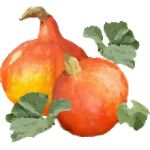 Potimarron