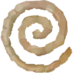 Spirale aromatique