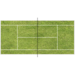 Terrain tennis