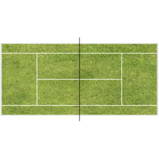 Terrain tennis