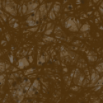 Terre