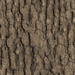 Texturebois