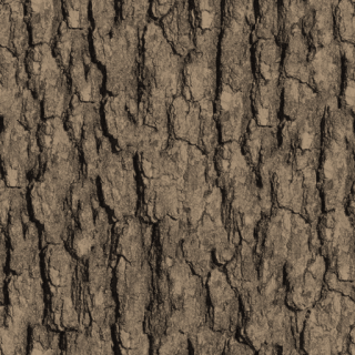 Texturebois